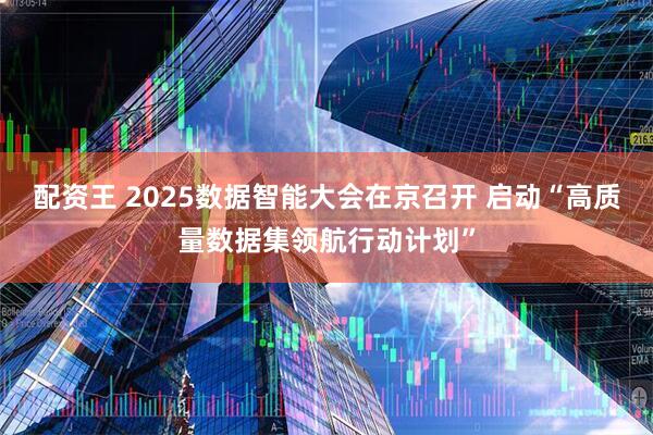 配资王 2025数据智能大会在京召开 启动“高质量数据集领航行动计划”