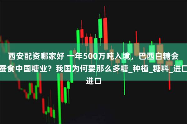 西安配资哪家好 一年500万吨入境，巴西白糖会蚕食中国糖业？我国为何要那么多糖_种植_糖料_进口