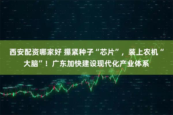 西安配资哪家好 攥紧种子“芯片”，装上农机“大脑”！广东加快建设现代化产业体系