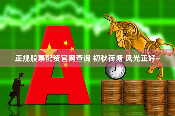 正规股票配资官网查询 初秋荷塘 风光正好~